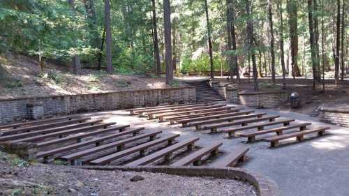 An outdoor amphitheater with wooden benches surrounded by tall trees in a forested area.