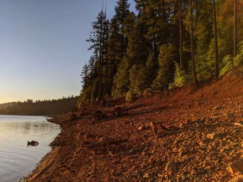 A serene lakeside scene at sunset, with a rocky shore and tall trees reflecting in the calm water.