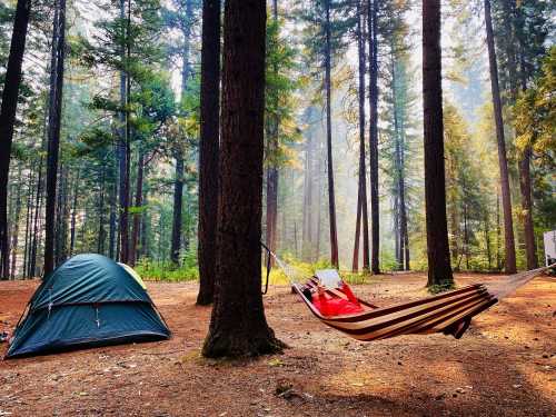 A green tent and a red hammock are set up in a serene forest with tall trees and soft sunlight filtering through.