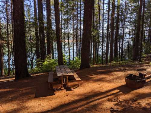 A serene forest scene with a picnic table and fire pit near a lake, surrounded by tall trees and dappled sunlight.