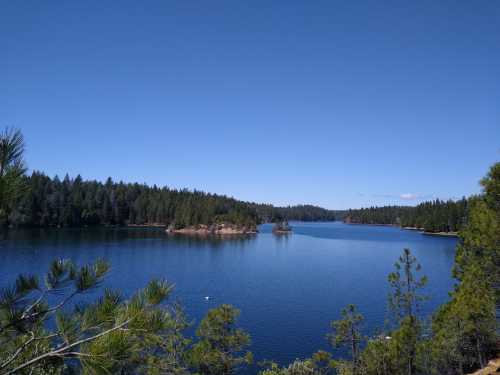 A serene lake surrounded by lush green trees under a clear blue sky.