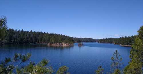 A serene lake surrounded by lush green trees under a clear blue sky.