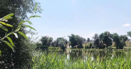 A serene lake surrounded by lush greenery and trees under a clear blue sky.
