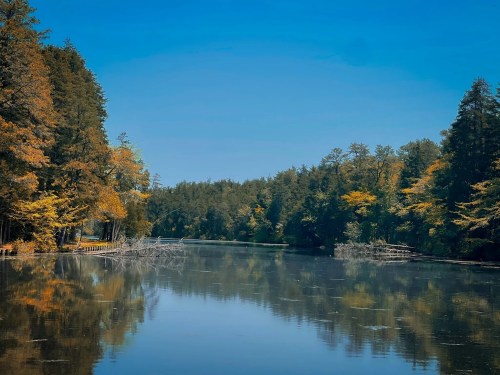 A serene river scene surrounded by trees, reflecting autumn colors under a clear blue sky.