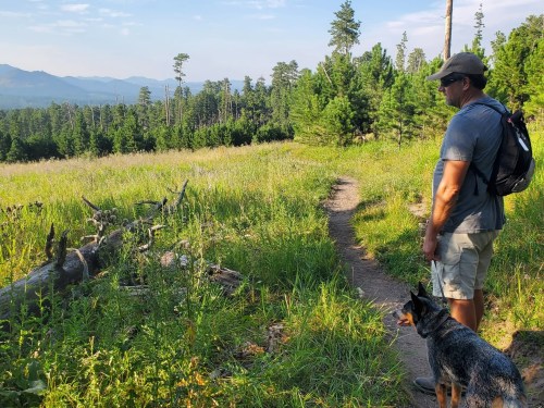 A person stands on a trail with a dog, surrounded by lush greenery and mountains in the background.