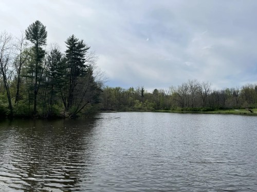A serene lake surrounded by trees under a cloudy sky, reflecting the calm water.
