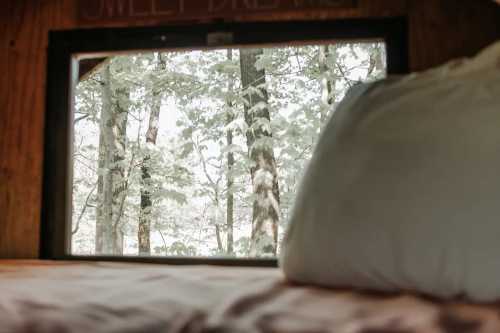 View from a cozy cabin window, showcasing trees and soft natural light, with a pillow in the foreground.