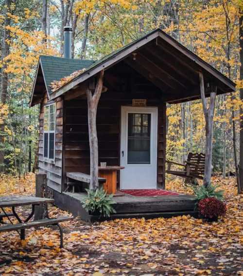 A cozy wooden cabin surrounded by autumn leaves, featuring a porch and a picnic table nearby.