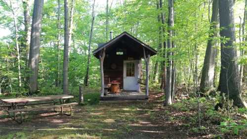 A small wooden cabin surrounded by lush green trees, with a picnic table in front on a sunny day.