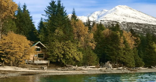 a lakeside cabin in alaska with hundreds of lush trees and a snowy mountain in the background