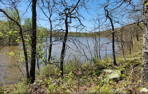 A serene lake surrounded by trees and greenery under a clear blue sky.
