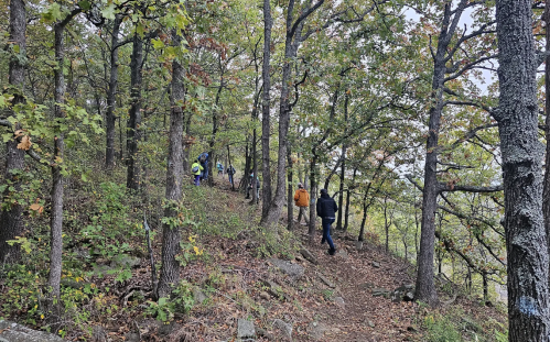 A group of hikers walking along a wooded trail surrounded by trees and rocky terrain.