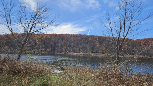 A serene river scene with autumn foliage on the opposite bank and bare trees in the foreground under a blue sky.