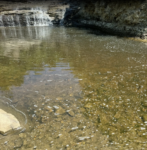 A serene pool of clear water with pebbles at the bottom, surrounded by rocky edges and a small waterfall in the background.