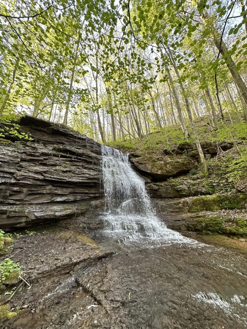 A serene waterfall cascading over rocky terrain, surrounded by lush green trees in a peaceful forest setting.
