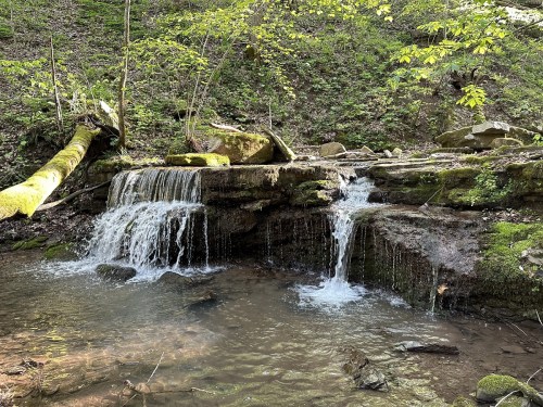 A serene waterfall cascades over moss-covered rocks into a clear stream, surrounded by lush greenery.