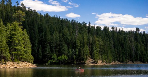 view of a boat on bear canyon lake surrounded by ponderosa pine in arizona