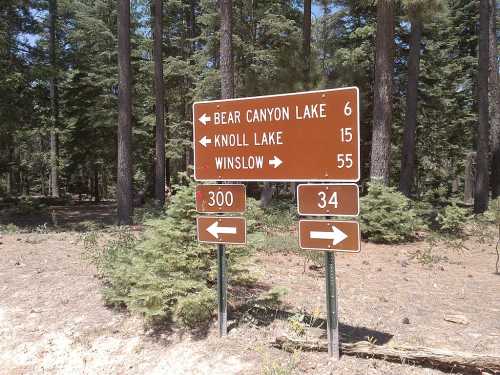 Brown directional sign in a forest, indicating distances to Bear Canyon Lake (6 miles), Knoll Lake (15 miles), and Winslow (55 miles).