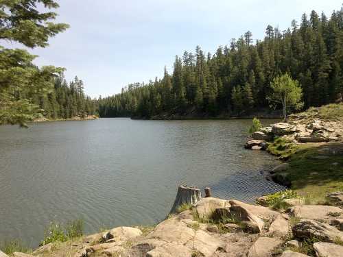 A serene lake surrounded by lush green trees and rocky shores under a clear blue sky.