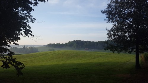A serene landscape featuring rolling green hills, trees, and a misty morning sky.
