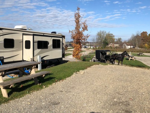 A camper parked in a gravel area with a horse and buggy nearby, surrounded by trees and a clear blue sky.