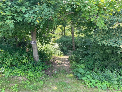 A narrow path through lush greenery, flanked by trees and dense foliage, with a sign reading "Private Trail."