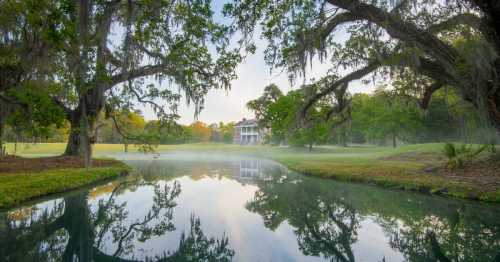 A serene landscape featuring a misty pond, lush trees, and a grand house in the background.