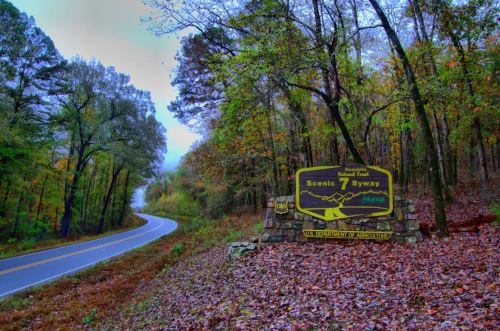Sign for Scenic 7 Byway in Arkansas, surrounded by autumn foliage and a winding road in a misty forest.