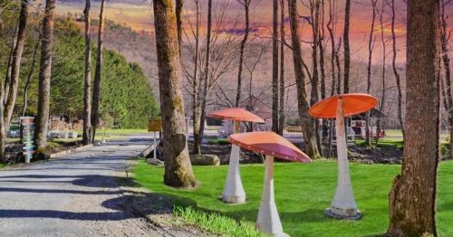 A scenic pathway lined with trees, featuring large, colorful mushroom sculptures on a grassy area.