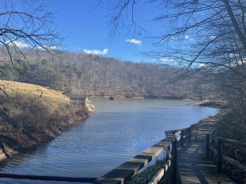 A serene lake surrounded by trees under a clear blue sky, with a wooden walkway leading to the water's edge.
