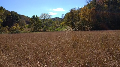 A wide view of a grassy field surrounded by trees and hills under a clear blue sky.