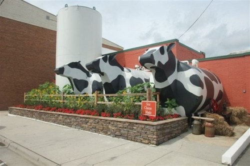 Three large, painted cow sculptures in a garden with flowers and a sign that says "See Cheese Made."