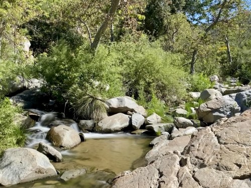 A serene stream flows over rocks, surrounded by lush greenery and trees in a peaceful natural setting.