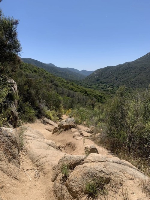 A rocky hiking trail winds through lush green hills under a clear blue sky.