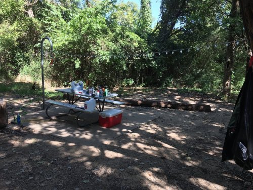 A campsite with a picnic table, cooler, and various supplies surrounded by trees and greenery.