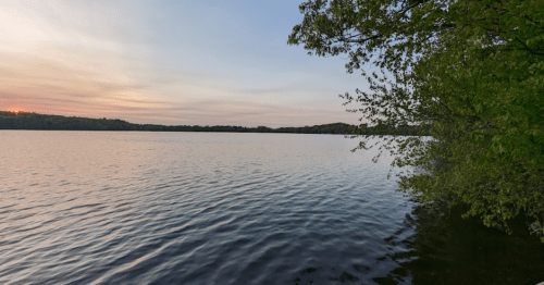 A serene lake at sunset, with calm waters and lush greenery along the shore.