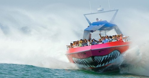 A colorful speedboat with a shark design splashes through waves, carrying excited passengers.