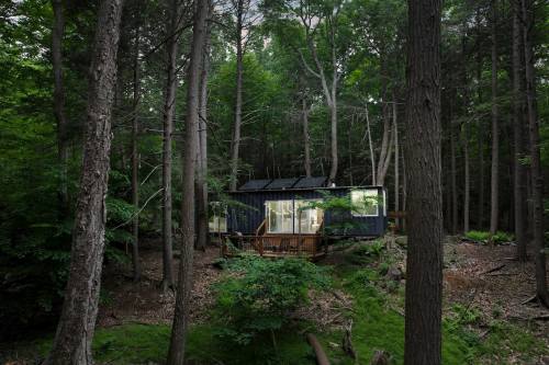 A modern cabin nestled in a dense forest, surrounded by tall trees and greenery, with large windows reflecting nature.