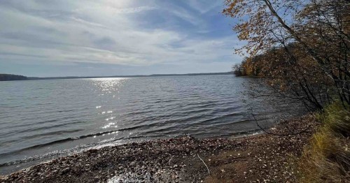 A serene lakeside view with gentle waves, sparkling sunlight, and trees along the shore under a cloudy sky.