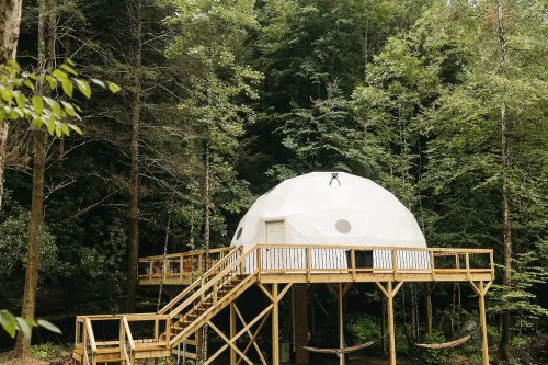 A white geodesic dome on a wooden platform surrounded by lush green trees, with stairs leading up to it.