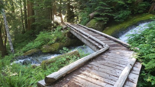 A wooden bridge crosses a stream in a lush, green forest, surrounded by trees and mossy rocks.