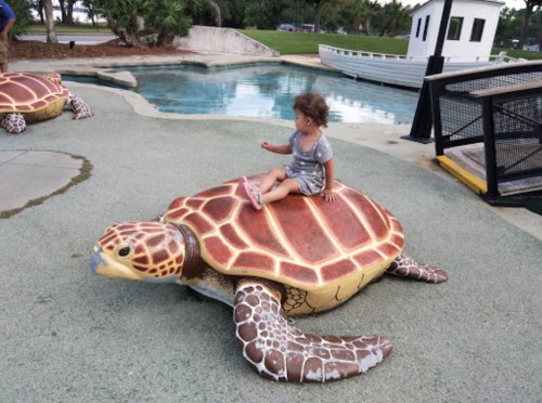 A young child sits on a large turtle sculpture at a park, with a pond and boat in the background.