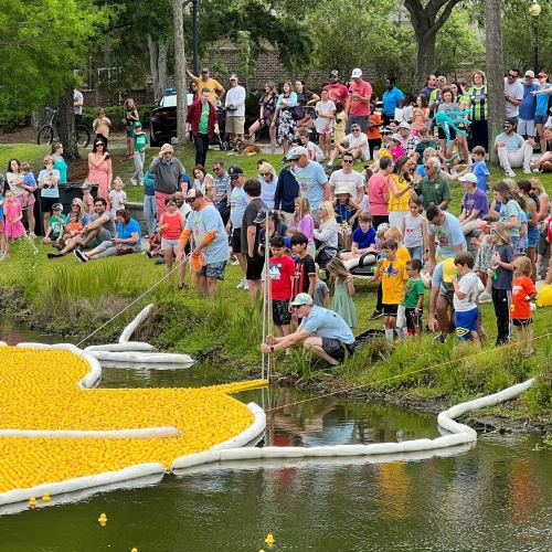A large crowd gathers by a pond filled with yellow rubber ducks, enjoying a festive event in a park.