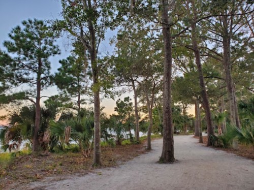 A sandy path lined with trees and palm plants, leading towards a serene waterfront at sunset.