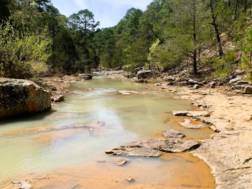A serene creek flows through a rocky landscape, surrounded by lush green trees under a clear sky.