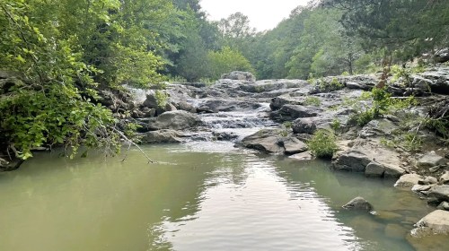 A serene stream flows over rocks, surrounded by lush greenery and trees, creating a peaceful natural scene.
