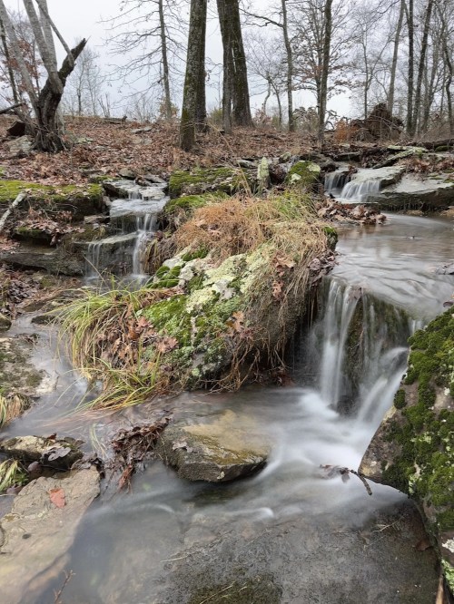 A serene stream flows over moss-covered rocks, surrounded by trees and fallen leaves in a tranquil forest setting.