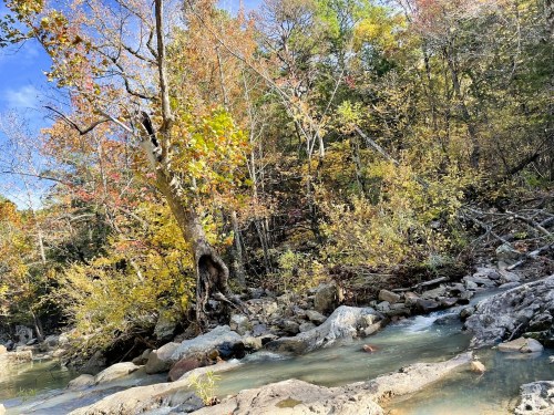 A serene stream flows through a forest with colorful autumn foliage and rocky banks under a clear blue sky.