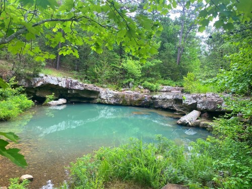 A serene, green forest scene featuring a calm, turquoise pond surrounded by rocks and lush vegetation.