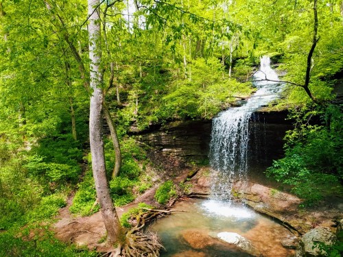 A serene waterfall cascades over rocks, surrounded by lush green trees and foliage in a tranquil forest setting.